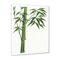 DesignArt 'detalj tamnozelenog bambusa na White III' tradicionalni uokvireni umjetnički tisak