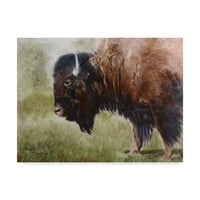 Zaštitni znak likovne umjetnosti 'Buffalo' Canvas Art by Rusty Frentner