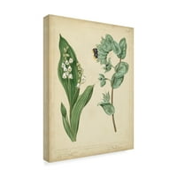 Zaštitni znak likovne umjetnosti 'Vikendica Florals IV' Canvas Art by Sydenham Edwards