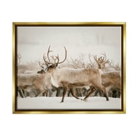 Stupell elk stado snježne zimske scene životinje i insekti fotografija zlatni plutač uokviren umjetnički print