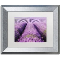 Zaštitni znak likovna umjetnost 'Purple Hills' platno umjetnost Michaela Blanchette Photography, White Matte,