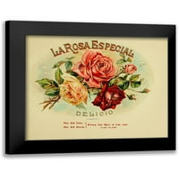 Vintage Apple Collection Black Modern Framed muzejski umjetnički tisak pod nazivom - La Rosa