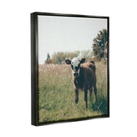 Stupell Industries krava teleća seoska farma livada životinje i insekti fotografija crni plutački uokvireni umjetnički