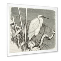 DesignArt 'Little Egret Bird in Monochrome' Farmhouse uokvireni umjetnički tisak